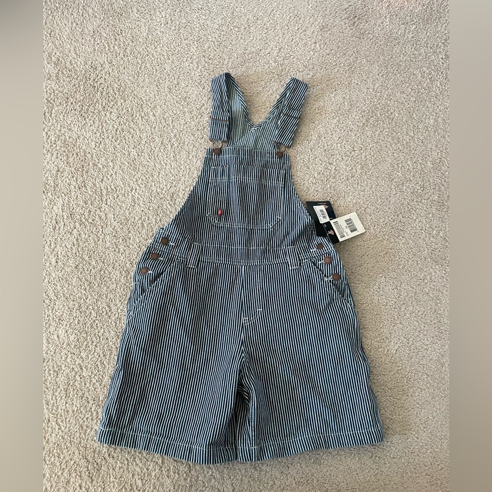 Dickies Striped Overalls